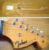 1981 TOKAI SILVER STAR 2.jpg